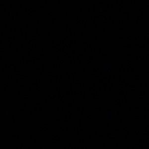 Meet your Posher, Lexie